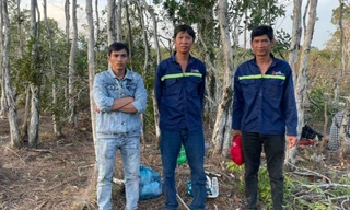 Bắt 3 đối tượng phá hàng nghìn mét vuông rừng ở Phú Quốc 