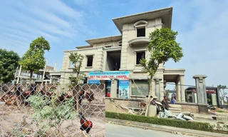 Biệt thự nuôi gà, trồng rau ngoại thành Hà Nội bất ngờ được thổi giá 'dựng ngược'