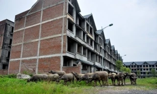 Bí thư Hà Nội: Không để 'bong bóng', 'thành phố ma' trong bất động sản