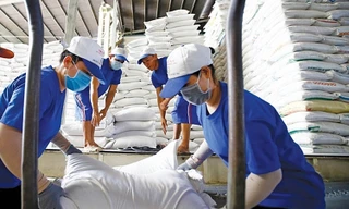 Doanh nghiệp vay 'tín dụng đen' còn dễ hơn vay ngân hàng?