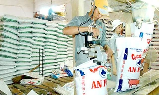 Việt Nam chi hơn 3 tỷ USD nhập khẩu thức ăn chăn nuôi 