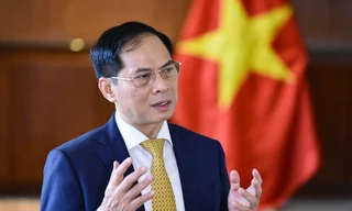 Phó Thủ tướng Bùi Thanh Sơn thêm nhiệm vụ mới