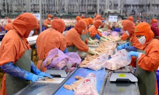 Đề nghị Hàn Quốc mở cửa nhập khẩu bưởi, thịt gà Việt Nam