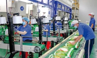 Xuất khẩu gạo tăng chưa từng có, vì sao doanh nghiệp vẫn báo lỗ?