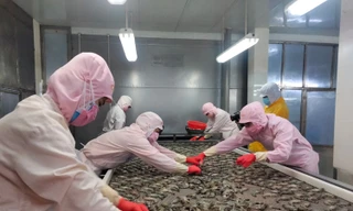 Doanh nghiệp Việt 'đứng ngồi không yên' vì căng thẳng Biển Đỏ