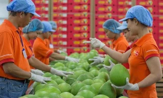 Bất chấp dịch bệnh, xuất khẩu nông sản tăng mạnh hướng đích 45 tỷ USD 