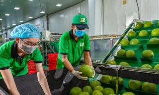 Trung Quốc chi 2,2 tỷ USD nhập rau quả Việt Nam, tăng 130%