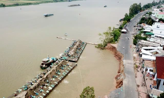 Lý do vốn FDI 'chảy' vào Đồng bằng sông Cửu Long rất thấp