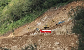 Chuyển rừng phòng hộ xây biệt thự, chủ đầu tư vi phạm như thế nào?