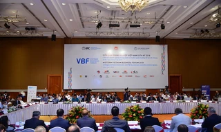 Hiến kế giúp Việt Nam giảm thiếu điện, phụ thuộc vào than