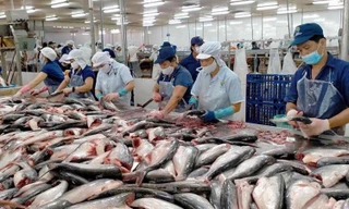 ‘Ngấm đòn’ lạm phát, doanh nghiệp xuất khẩu thủy sản tuột dốc mạnh
