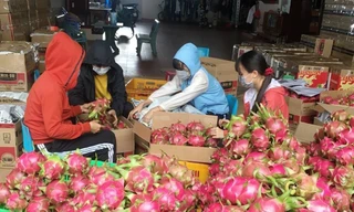 Giá nhiều trái cây nhích dần sau khi TPHCM mở lại chợ đầu mối