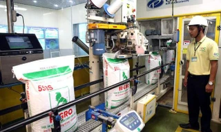 Từ 30/12, giảm thuế nhập khẩu thức ăn chăn nuôi sau đà tăng giá kỷ lục