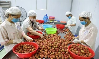 Xuất khẩu nông sản tăng vọt, Bộ Nông nghiệp và Phát triển Nông thôn nâng mục tiêu đạt 55 tỷ USD 