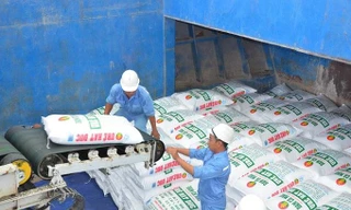 Xuất khẩu phân bón tăng kỷ lục đạt gần 213 triệu USD 