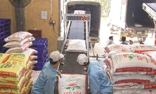 Việt Nam chi gần 3 tỷ USD nhập khẩu thức ăn chăn nuôi