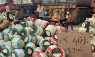 Ùn ứ nông sản xuất khẩu kéo dài khiến, nông dân, thương lái phải bán đổ bỏ nhiều loại nông sản