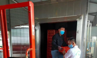 Nhật Bản cấp phép thêm 2 cơ sở khử khuẩn vải thiều tại Hải Dương