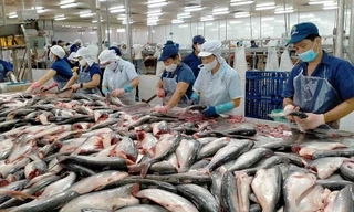 Dự báo lập kỷ lục xuất khẩu thuỷ sản trong quý 2