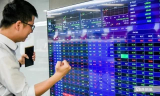 Chứng khoán lập đỉnh mới