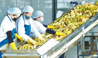 Xuất khẩu nông sản đạt kỷ lục hơn 53 tỷ USD