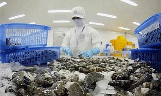 Nông sản xuất khẩu tăng mạnh, xuất siêu gần 6,3 tỷ USD