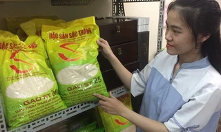  Miễn thuế 9 loại gạo Việt xuất châu Âu, không có ST25