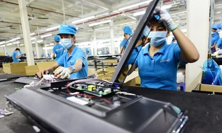 Asanzo nợ thuế gần 50 tỷ đồng, bị dừng làm thủ tục hải quan