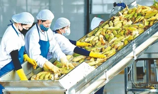 2 tháng xuất khẩu nông, lâm, thủy sản đạt gần 10 tỷ USD 