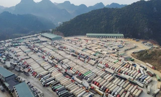 Thủ tướng: Cấp bách giảm ùn ứ nông sản tại các cửa khẩu 