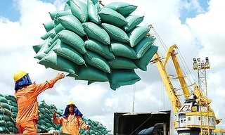 Xuất khẩu cà phê, gạo ‘trúng đậm’ vì giá cao 