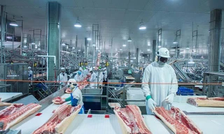 Giá lợn hơi giảm sâu kỷ lục, Việt Nam vẫn ồ ạt nhập thịt ngoại