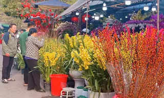 Giá hoa tăng cao do người dân tấp nập đi lễ 