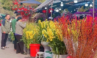 Giá hoa tăng cao do người dân tấp nập đi lễ 