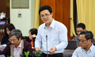 Xem xét dừng nhập trâu bò từ Lào, Campuchia, Thái Lan để kiểm soát chất cấm