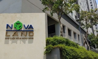 Những chủ tịch, CEO ngoại ở doanh nghiệp Việt vừa thôi chức 