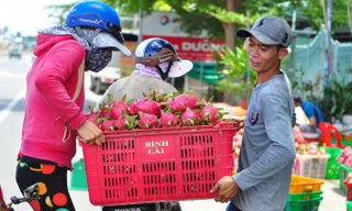 Hé lộ thị trường giúp 300 nghìn tấn thanh long gỡ thế bí ùn tắc nông sản