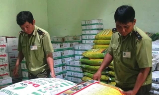 Kiểm tra toàn diện các đại lý sản xuất, kinh doanh phân bón tăng giá đột biến