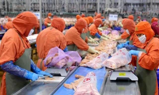 Thịt gà Việt Nam sắp được xuất khẩu Singapore