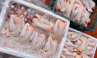 Bộ Nông nghiệp lên tiếng việc hàng chục nghìn tấn gà thải ‘tuồn’ vào Việt Nam