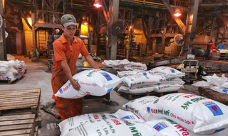 Bán giá cao 'ngất ngưởng', doanh nghiệp phân bón thu lợi chưa từng có