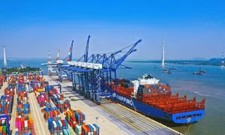 Xử lý thế nào việc hãng tàu nước ngoài 'lạm thu'?