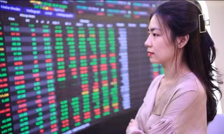 VN-Index nỗ lực thoát đáy