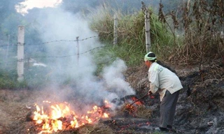 Hạ thi đua 6 Chủ tịch xã để xảy ra đốt rơm rạ tràn lan, ô nhiễm môi trường