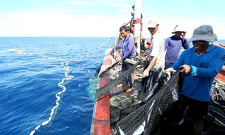 Lệnh cấm đánh bắt cá của Trung Quốc là phi lý, các địa phương động viên ngư dân bám biển