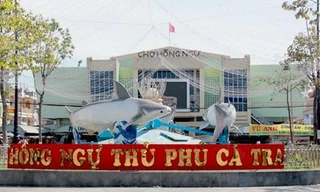 'Siêu lễ hội' cá tra lần đầu tiên tổ chức sẽ thu hút 50.000 du khách