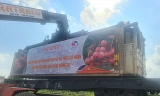 Xuất khẩu lô vải đầu tiên bằng đường sắt sang Trung Quốc