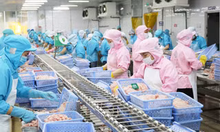 Những mặt hàng kéo tụt kim ngạch xuất khẩu nông, lâm, thủy sản Việt Nam