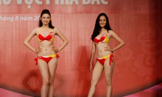 Chung khảo Hoa hậu 2012 phía Bắc