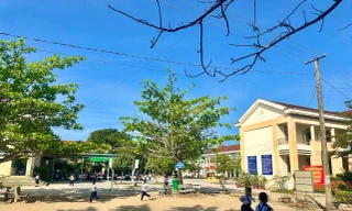 Chỉ đạo nóng vụ lùm xùm sửa khuôn viên trường